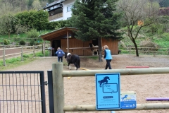 WDR am Stall 03.05 (60)
