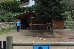WDR am Stall 03.05 (61)