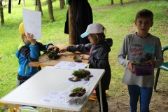 Ferienprogramm 2 2017 0258